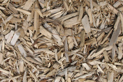 biomass boilers Tregolls